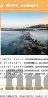 抢庄牛牛牛-抢庄牛牛牛，策略与乐趣并存的在线棋牌游戏